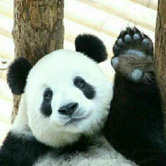 此内容被密码保护